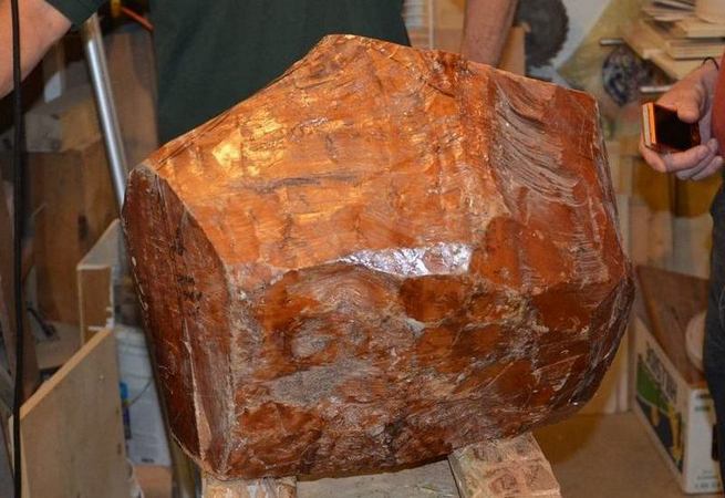 Thuya Burl
